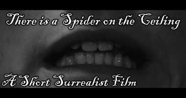 Free download There is a spider on the ceiling [A Short Surreal Film] video and edit with RedcoolMedia movie maker MovieStudio video editor online and AudioStudio audio editor onlin